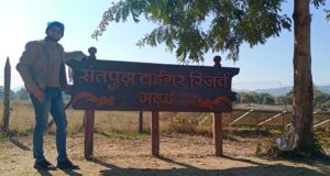 Travel List में रखिये मध्यप्रदेश की इस खूबसूरत जगह को (मढ़ई) Satpura Tiger Reserve Madhai (2)