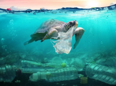 जल प्रदुषण (Water Pollution) क्या है ? और रोकने के उपाय जल प्रदुषण (Water Pollution) क्या है और रोकने के उपाय