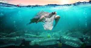 जल प्रदुषण (Water Pollution) क्या है ? और रोकने के उपाय जल प्रदुषण (Water Pollution) क्या है और रोकने के उपाय