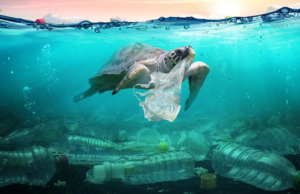 जल प्रदुषण (Water Pollution) क्या है ? और रोकने के उपाय जल प्रदुषण (Water Pollution) क्या है और रोकने के उपाय