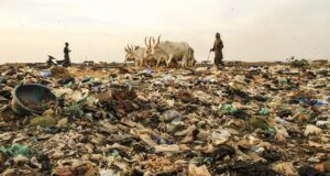 मृदा प्रदूषण (Soil Pollution) क्या है ? मृदा प्रदूषण रोकने के उपाय मृदा प्रदूषण (Soil Pollution) क्या है मृदा प्रदूषण रोकने के उपाय