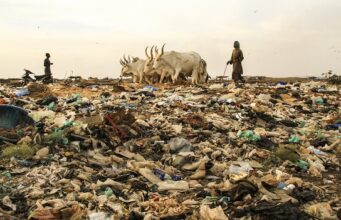 मृदा प्रदूषण (Soil Pollution) क्या है ? मृदा प्रदूषण रोकने के उपाय मृदा प्रदूषण (Soil Pollution) क्या है मृदा प्रदूषण रोकने के उपाय