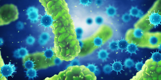 संक्रामक रोग (infectious disease) क्या है? और संक्रामक रोग के प्रकार संक्रामक रोग (infectious disease) क्या है और संक्रामक रोग के प्रकार