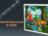 प्राकृतिक संसाधन क्या हैं? प्राकृतिक संसाधन कितने प्रकार के होते हैं? Natural Resources in Hindi