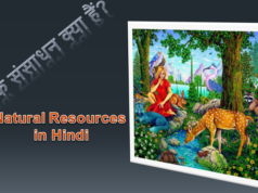 प्राकृतिक संसाधन क्या हैं? प्राकृतिक संसाधन कितने प्रकार के होते हैं? Natural Resources in Hindi