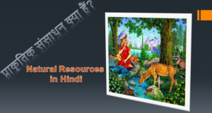 प्राकृतिक संसाधन क्या हैं? प्राकृतिक संसाधन कितने प्रकार के होते हैं? Natural Resources in Hindi