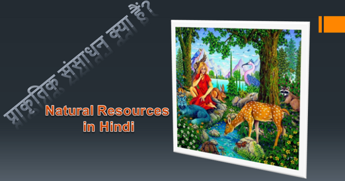 प्राकृतिक संसाधन क्या हैं? प्राकृतिक संसाधन कितने प्रकार के होते हैं? Natural Resources in Hindi
