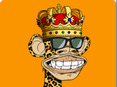 ARC is Making NFTs Accessible for All Squarespace Users ARC is Making NFTs Accessible for All Squarespace Users