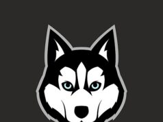 Balto Token Launched with Plans to Change Crypto for Good Balto Token Launched with Plans to Change Crypto for Good