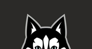 Balto Token Launched with Plans to Change Crypto for Good Balto Token Launched with Plans to Change Crypto for Good