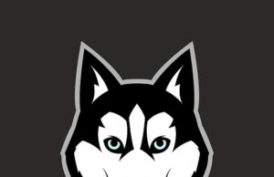 Balto Token Launched with Plans to Change Crypto for Good Balto Token Launched with Plans to Change Crypto for Good