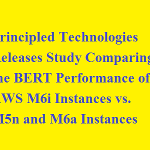 Principled Technologies Releases Study Comparing the BERT Performance of AWS M6i Instances vs. M5n and M6a Instances