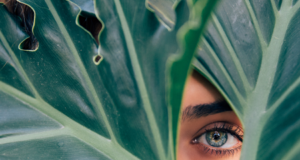 The Relationship Between ESG and Fraud The Relationship Between ESG and Fraud