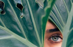 The Relationship Between ESG and Fraud The Relationship Between ESG and Fraud