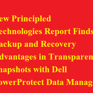 New Principled Technologies Report Finds Backup and Recovery Advantages in Transparent Snapshots with Dell PowerProtect Data Manager