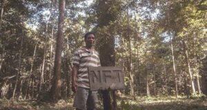 World’s First “Non-Fungible Territory” Declared by Indigenous Communities in Brazil World's First “Non-Fungible Territory” Declared by Indigenous Communities in Brazil